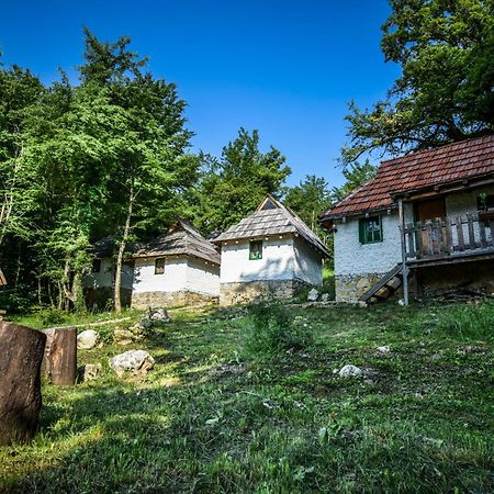 Camp Divlja Rijeka Otel Hum Dış mekan fotoğraf