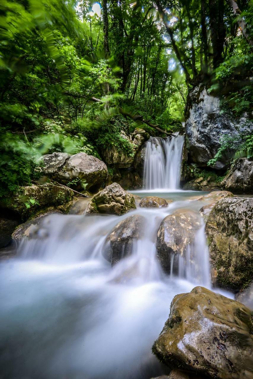 Camp Divlja Rijeka Otel Hum Dış mekan fotoğraf